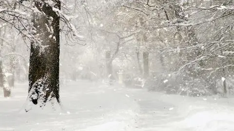 Cały dzień będzie mocno padać