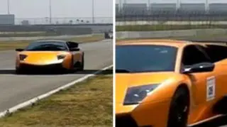 Wiewiórka pod kołami Lamborghini