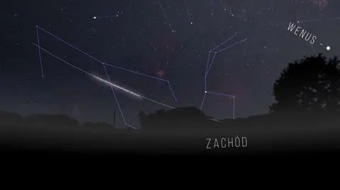 Przelot Starlinków około godziny 22 (Karol Wójcicki/Z głową w gwiazdach)