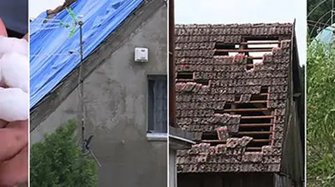 "To była tragedia. Drzewo, takie duże, kładło się do ziemi". Skutki nocnych burz 