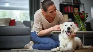 Czy alergik może mieć psa?