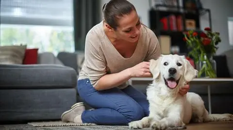 Czy alergik może mieć psa? Porady lekarzy