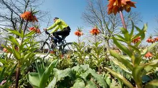 Czy w tym roku czeka nas gorące lato?