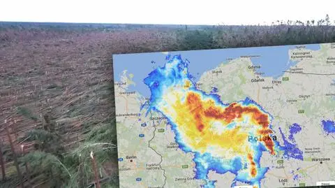 Bow echo nad Polską. Niszczycielska siła łamała drzewa jak zapałki