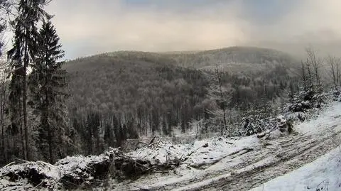 W weekend miejscami przybędzie białego puchu