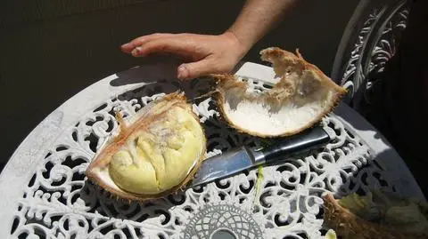 Durian to "król owoców" w Tajlandii