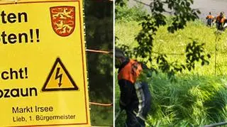 Poszukiwania dzikiego gada, który pogryzł młodego Niemca