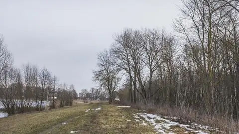 Łagodne zimy w Polsce