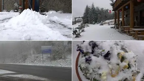 "Śnieżna Zośka". W górach wróciła zima