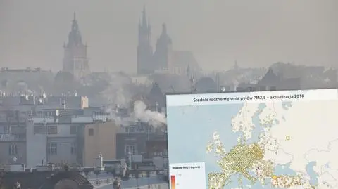 Polska Indiami Europy. Nowe dane dotyczące zanieczyszczenia powietrza