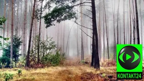 Prognoza pogody na dziś: pochmurno i mokro, ale może się przejaśniać