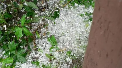 po opadzie gradu 13 sierpnia 2011, godzina 16.55; Nowe Miasto nad Pilicą, mazowieckie