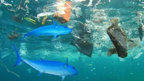 Morza i oceany są coraz bardziej zanieczyszczane plastikiem