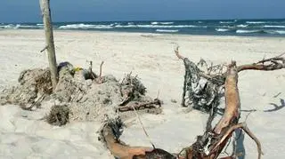 Plaża w Czołpinie już wolna od toksycznych substancji