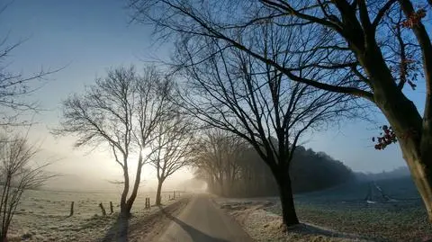 Warunki na drogach będą przeważnie dobre