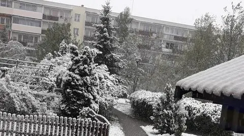 Aktualnie czytasz: Spadła temperatura, spadł też śnieg. "Zima w maju"