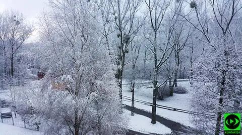 Śnieg wędruje po kraju. Gdzie go dosypie?