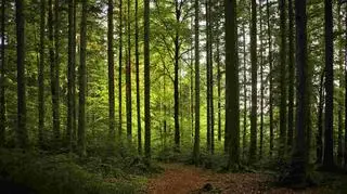 Lato już za progiem