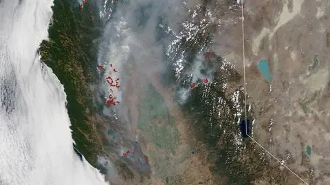 Pożary w Kalifornii na zdjęciu satelitarnym z 26 sierpnia (NASA Earth Observatory)