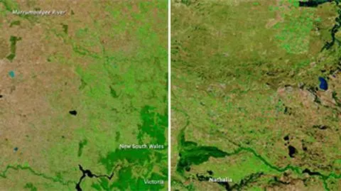 Australia wybucha zielenią. Czy to dobrze?