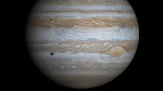 Jowiszowi, największej planecie Układu Słonecznego, przybył naturalny satelita