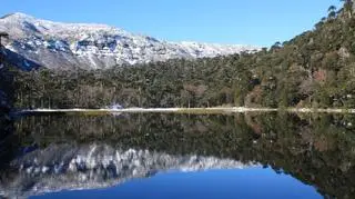 Zieleń pod śniegiem, Chile, jesień 2011