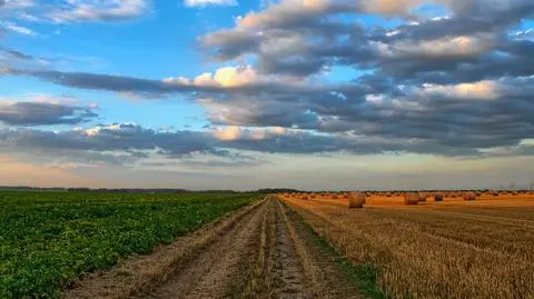 Piątek będzie pogodny prawie w całym kraju