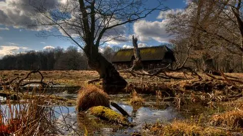Roztopy zimą