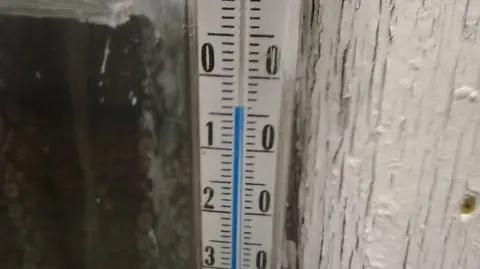 Aktualnie czytasz: Za nami pierwsza naprawdę mroźna noc