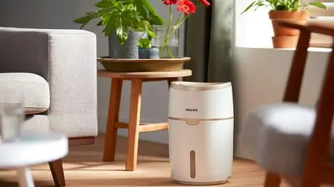 Suche powietrze powoduje problemy zdrowotne. Jak sobie z tym radzić w okresie grzewczym?