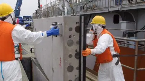 Całe dziesięciolecia zajmie sprzątanie toksyn w Japonii