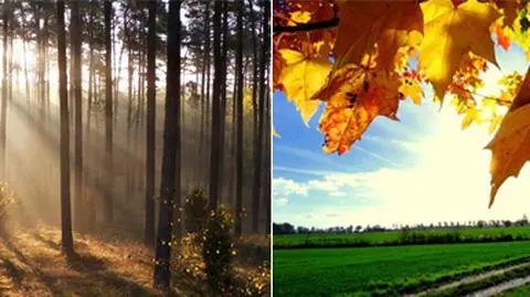 Piękna polska złota jesień. Babie lato w obiektywach Reporterów 24