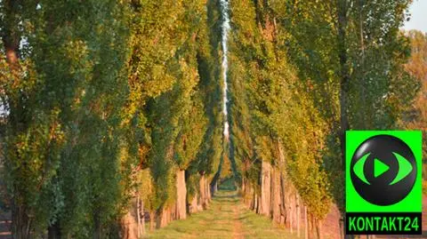 Prognoza pogody na poniedziałek: ciepło. Słońce czasem zajdzie za chmury