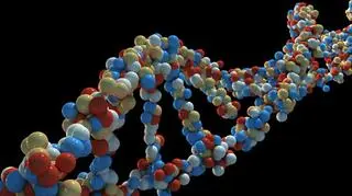 Naukowcy przekonują, że sekwencja DNA może być nośnikiem danych cyfrowych