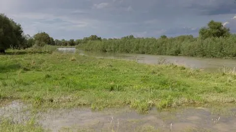 Alerty hydrologiczne w części kraju. Miejscami poziom wody nadal jest wysoki