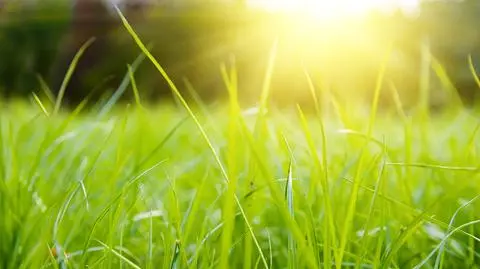 Weekend będzie pogodny w niewielu miejscach