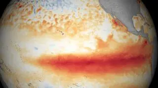 El Nino wprowadza klęskę suszy i głodu