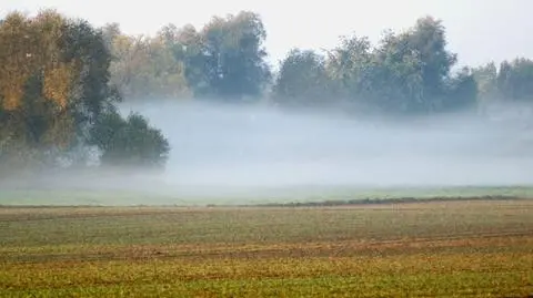 Mgliste poranki? To oznaki jesieni