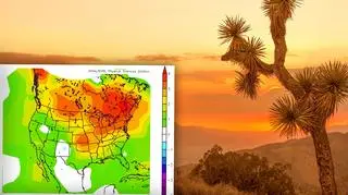 Anomalie temperatury z dni 1 grudzień- 25 lutego 2015/16