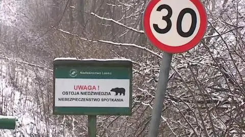 Ostrzeżenie o niedźwiedziu
