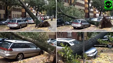 "Wgniotło silnik i maskę". Drzewo runęło na auto w Berlinie. Zobacz nagranie