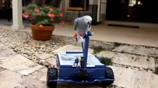 Pepper posługuje się joystickiem