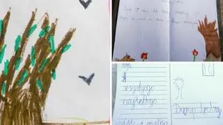 Kartki z życzeniami powrotu do zdrowia odkryte na pniu spalonego najstarszego dębu w Polsce