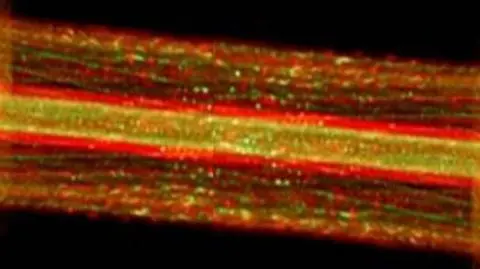 Tunable Laser Spectrometer, urządzenie, które bada zawartość metanu na Marsie