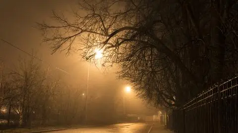 Smog dusi w Polsce. Mnóstwo miast z fatalnym powietrzem