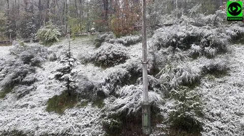 Koniec majówki ze śniegiem