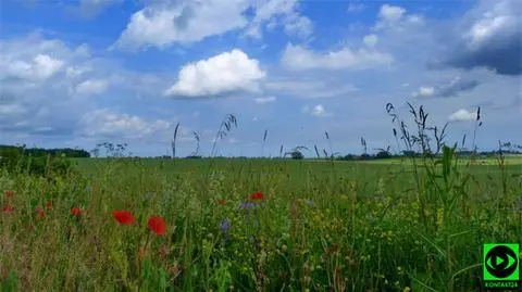 Prognoza pogody na dziś: pogoda nas rozpieści. Będzie słonecznie i miejscami 27 st. C