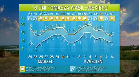 Prognoza długoterminowa Tomasza Wasilewskiego