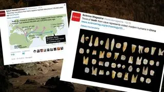 Zęby zrewolucjonizowały wiedzę o pierwszych migracjach