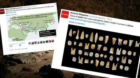 Zęby, które wywrócą naszą historię do góry nogami